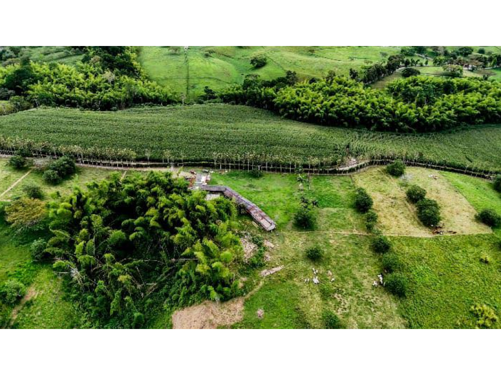 Se venden Lotes Campestres en Montengro — foto 5