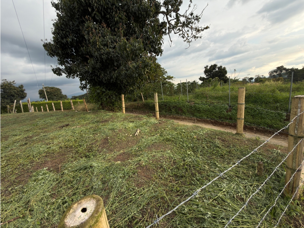 Se Vende Lote en Quimbaya por la Vereda Naranjal — foto 3