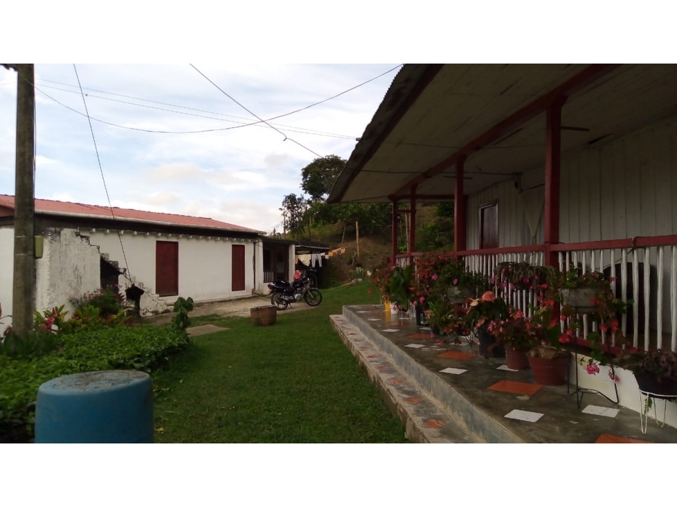 Se Vende Finca Sobre la Vereda Canaan - 3