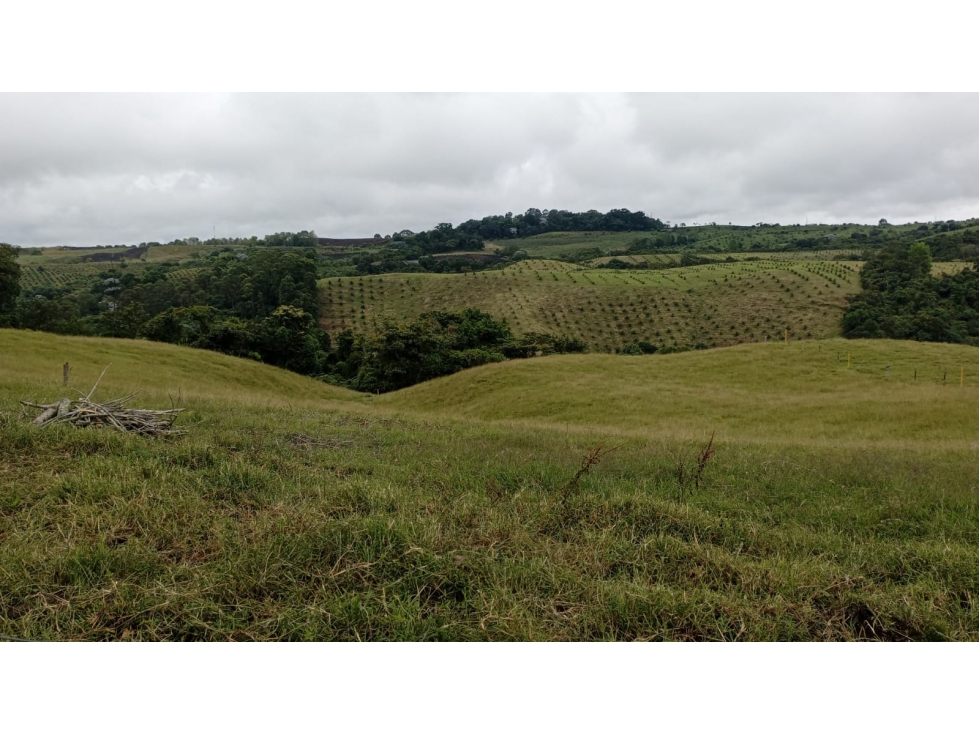 SE VENDE LOTE EN CIRCASIA CON LICENCIA DE CONSTRUCCIÓN - 6
