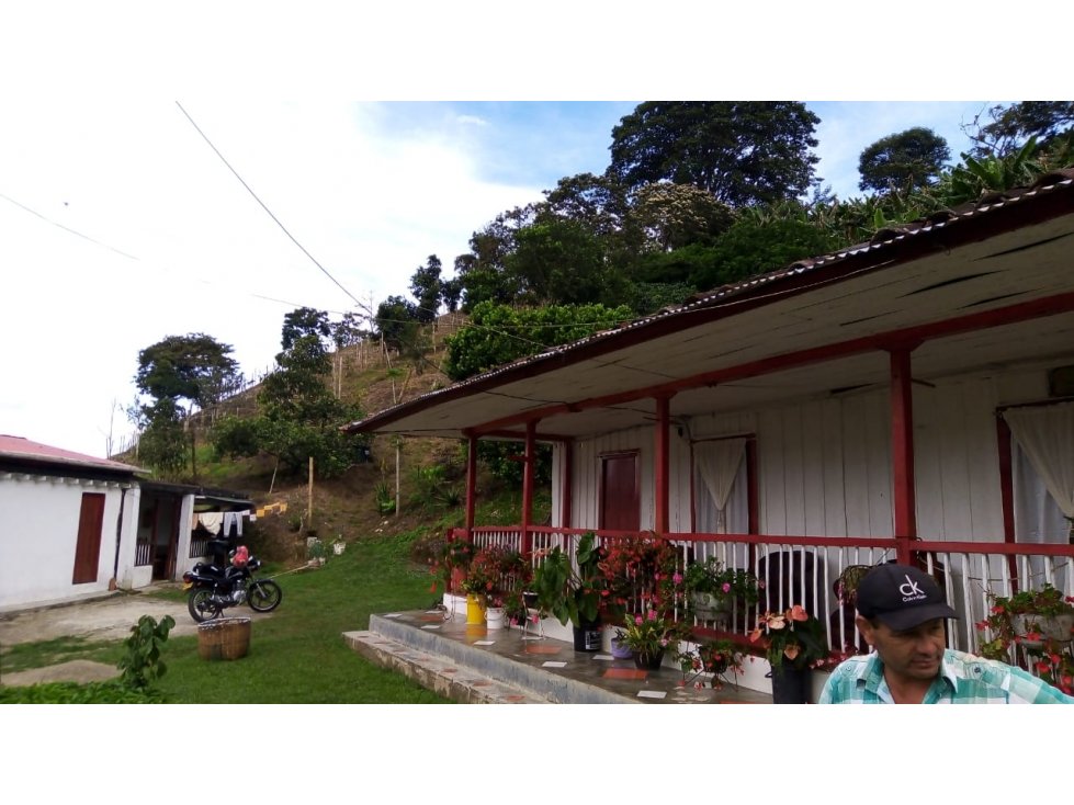 Se Vende Finca Sobre la Vereda Canaan - 4