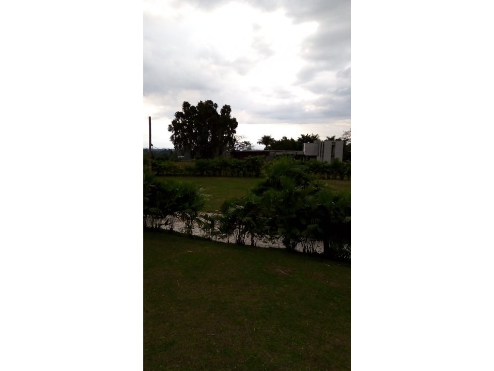 Se venden lotes en Circasia. Conjunto cerrado exclusivo. - 4