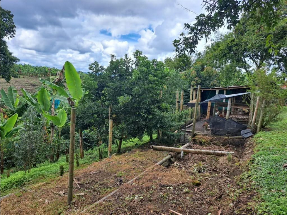 Se Vende Finca en Circasia — foto 5
