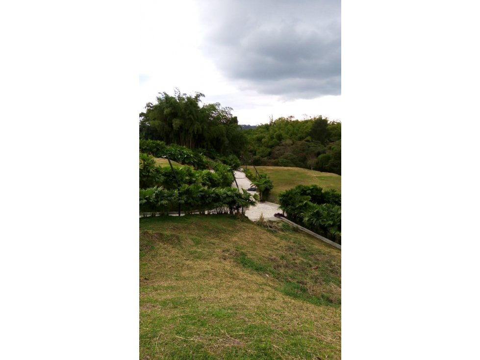 Se venden lotes en Circasia. Conjunto cerrado exclusivo. - 6