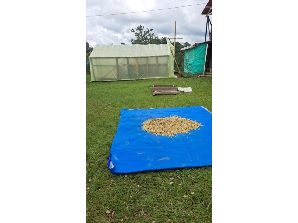 Se Vende Finca en Circasia — foto 6
