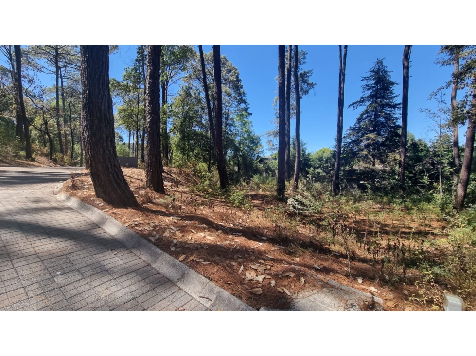 EXCELENTE TERRENO EN VENTA, AVANDARO - 4
