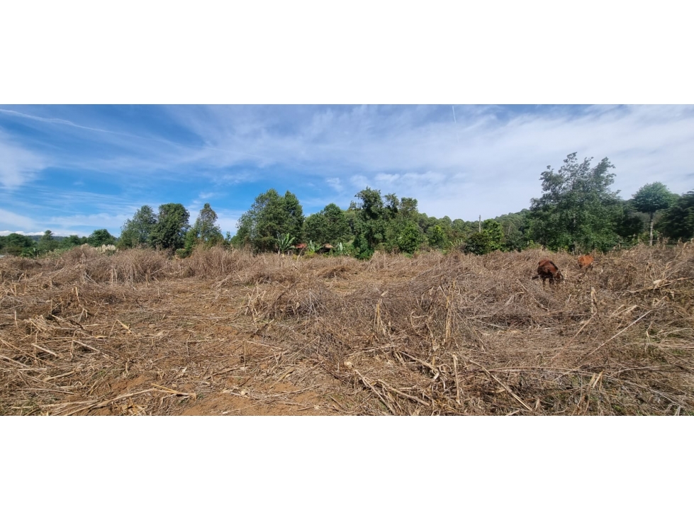 MAGNIFICO TERRENO EN ACATITLAN EN VENTA - 3