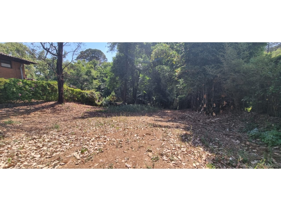 TERRENO EN VENTA CON RIACHUELO EN AVANDARO — foto 6