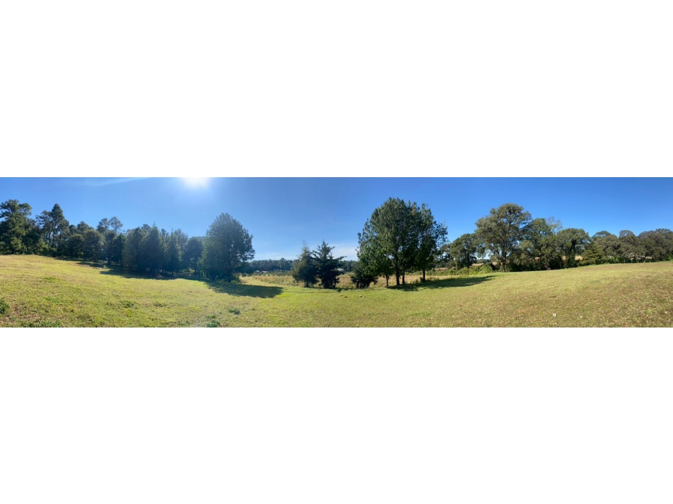 TERRENO EN VENTA CON ENTORNO DE BOSQUE A 25 MINUTOS DE VALLE DE BRAVO — foto 6