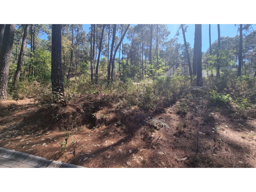 EXCELENTE TERRENO EN VENTA, AVANDARO - 5