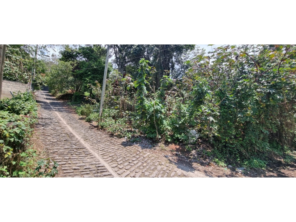 TERRENO EN VENTA, CENTRO DE VALLE. - 1