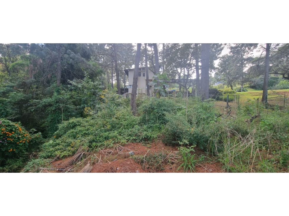 MAGNIFICO TERRENO EN VENTA, AVANDARO — foto 6