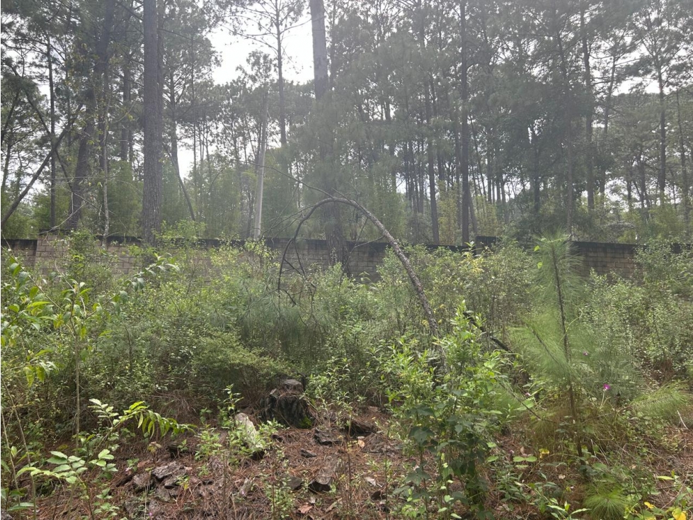 EXCELENTE TERRENO A DESARROLLAR — foto 2