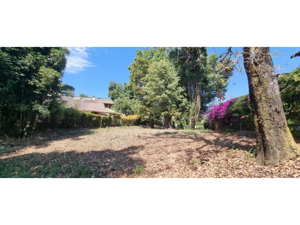 TERRENO EN VENTA CON RIACHUELO EN AVANDARO — foto 2
