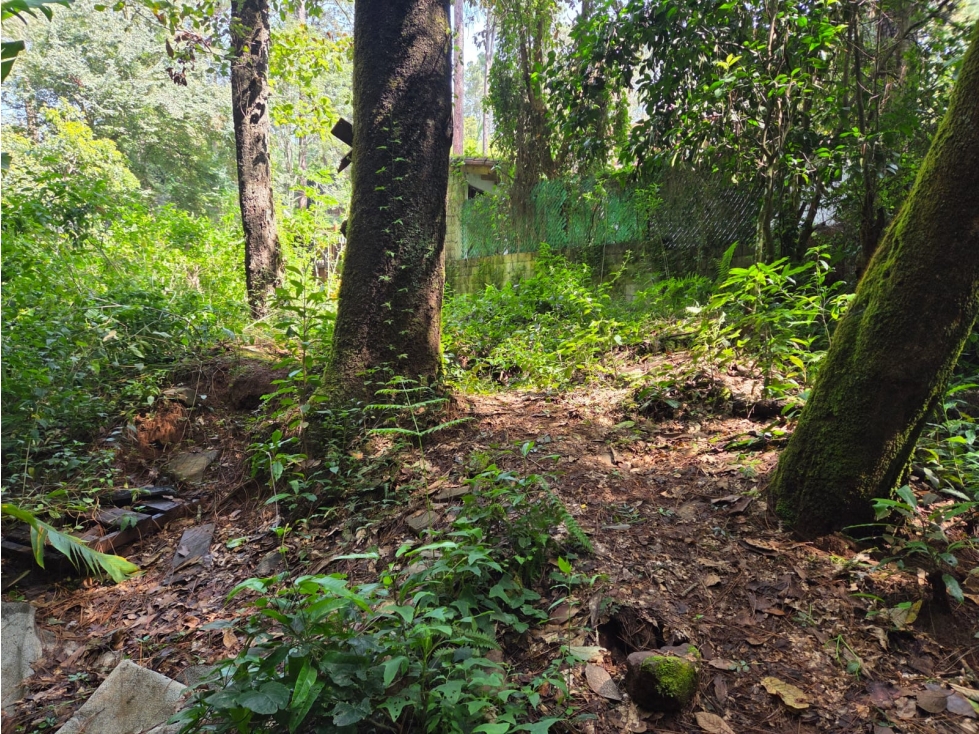 TERRENO CON RIO, EN VENTA. - 4