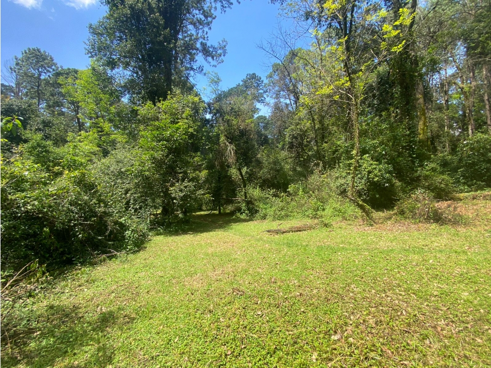 TERRENO EN VENTA CIRCUITO AVANDARO - 5
