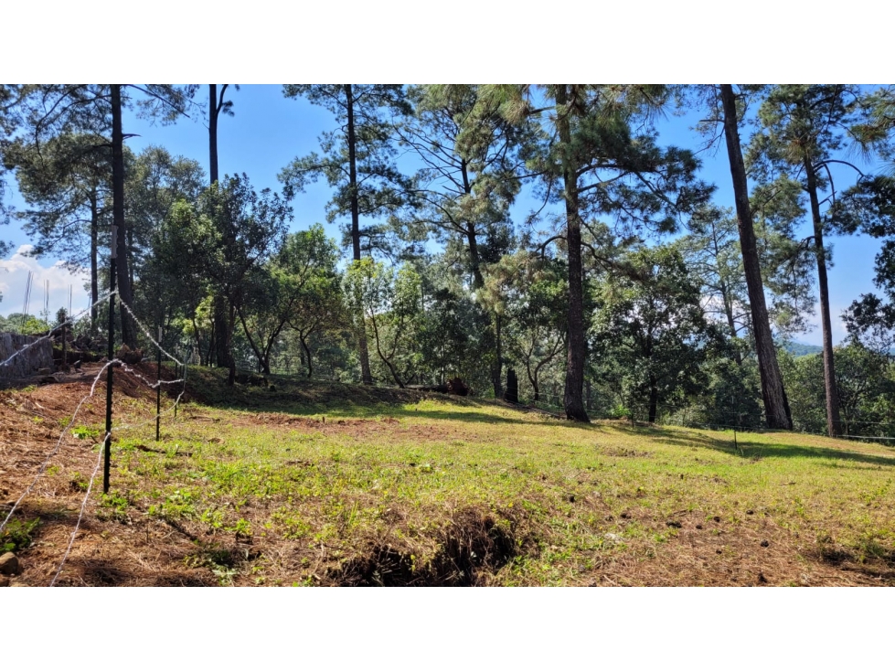 GRAN TERRENO EN VENTA EN SAN GABRIEL IXTLA