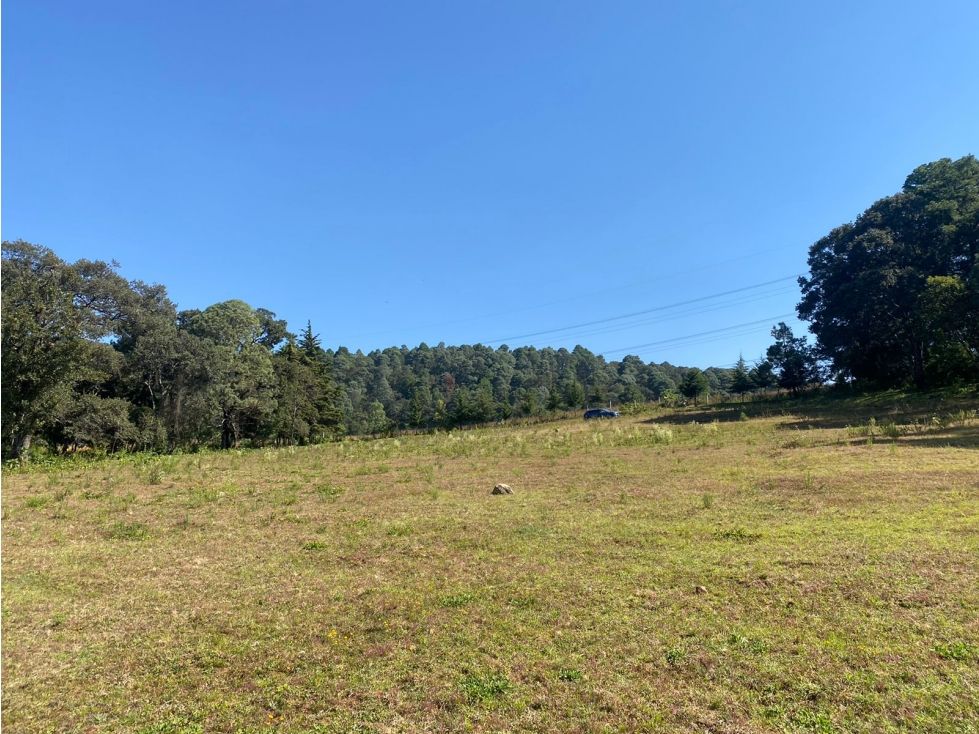 TERRENO EN VENTA CON ENTORNO DE BOSQUE A 25 MINUTOS DE VALLE DE BRAVO