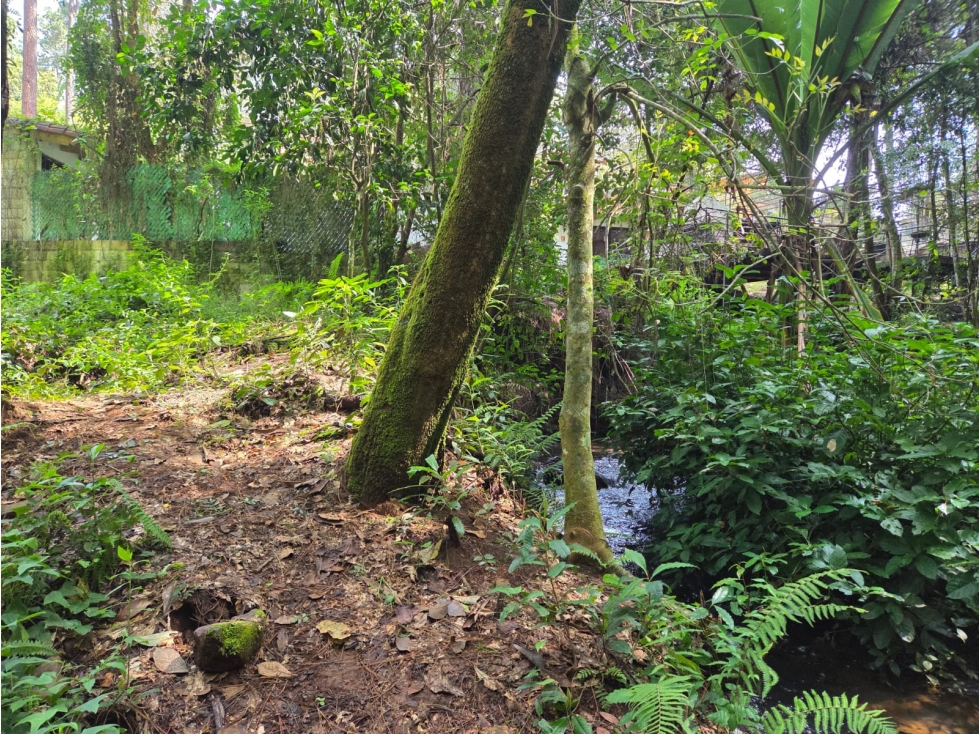 TERRENO CON RIO, EN VENTA. - 2