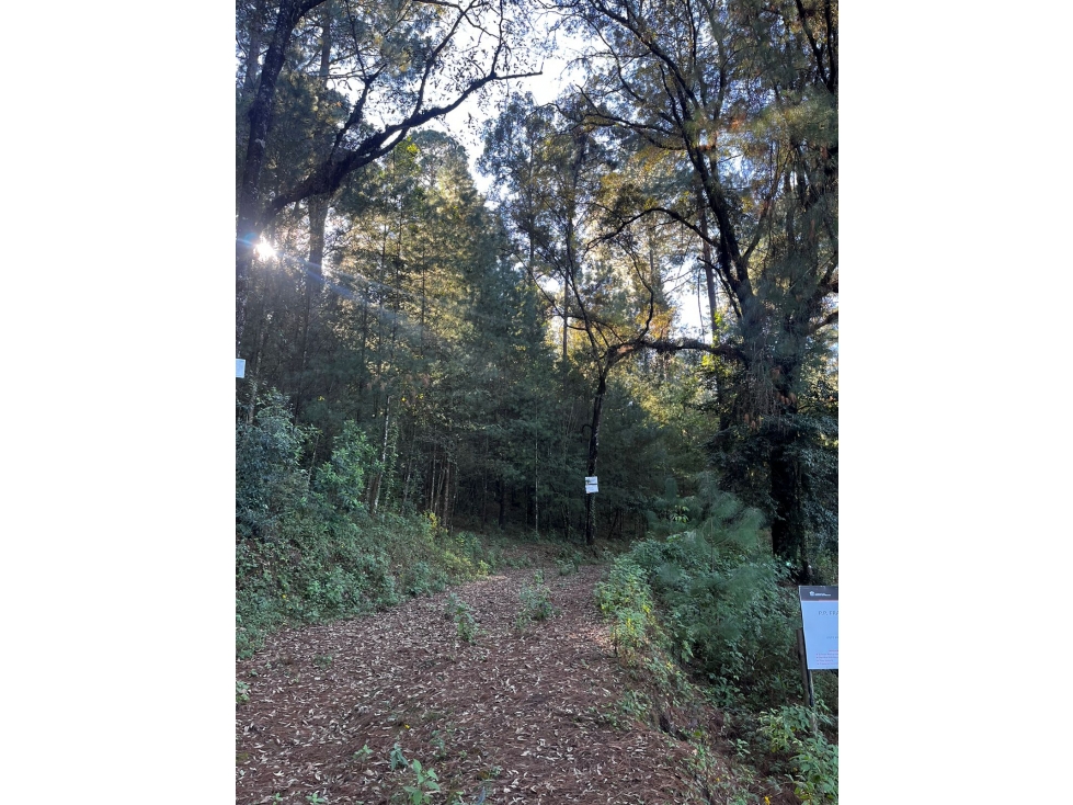¡OPORTUNIDAD DE TERRENO EN VENTA! — foto 6