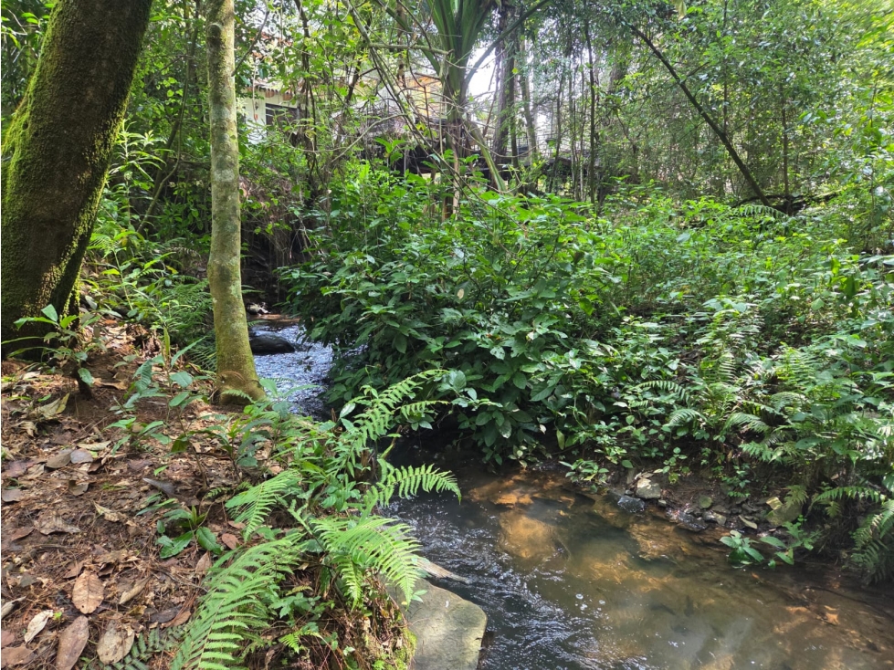 TERRENO CON RIO, EN VENTA. - 3