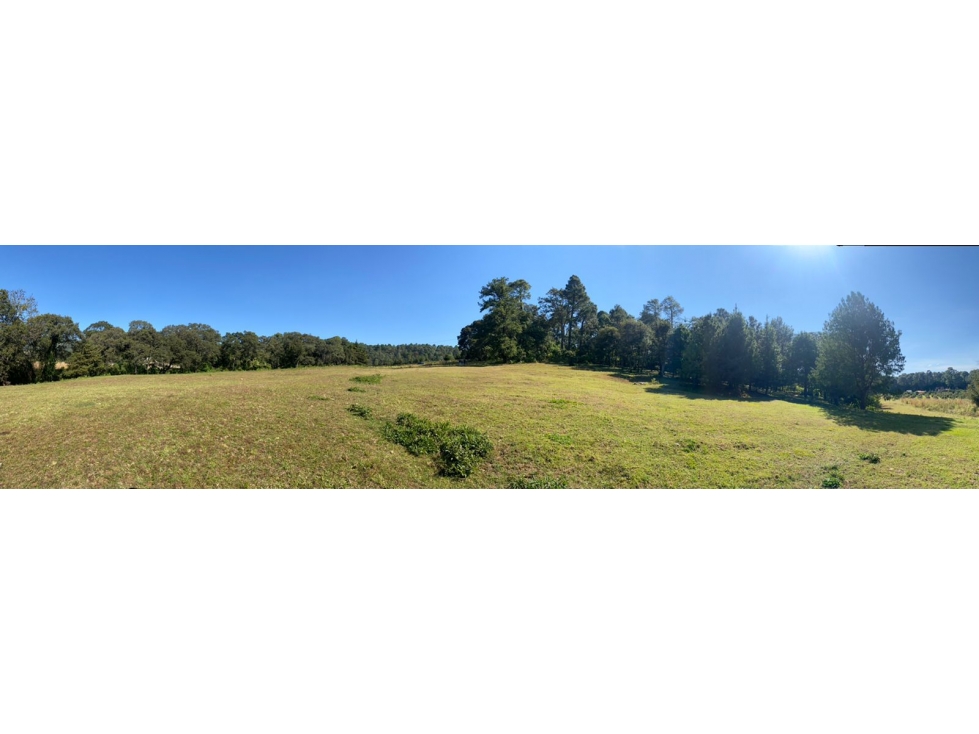 TERRENO EN VENTA CON ENTORNO DE BOSQUE A 25 MINUTOS DE VALLE DE BRAVO — foto 5
