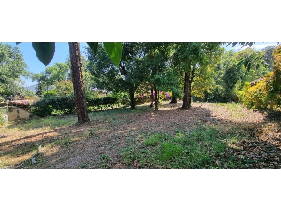 TERRENO EN VENTA CON RIACHUELO EN AVANDARO — foto 5