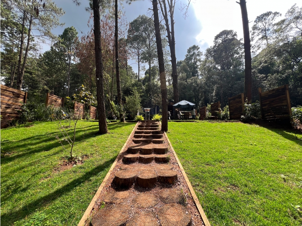 CASA EN VENTA RODEADA DE BOSQUE Y NATURALEZA — foto 3