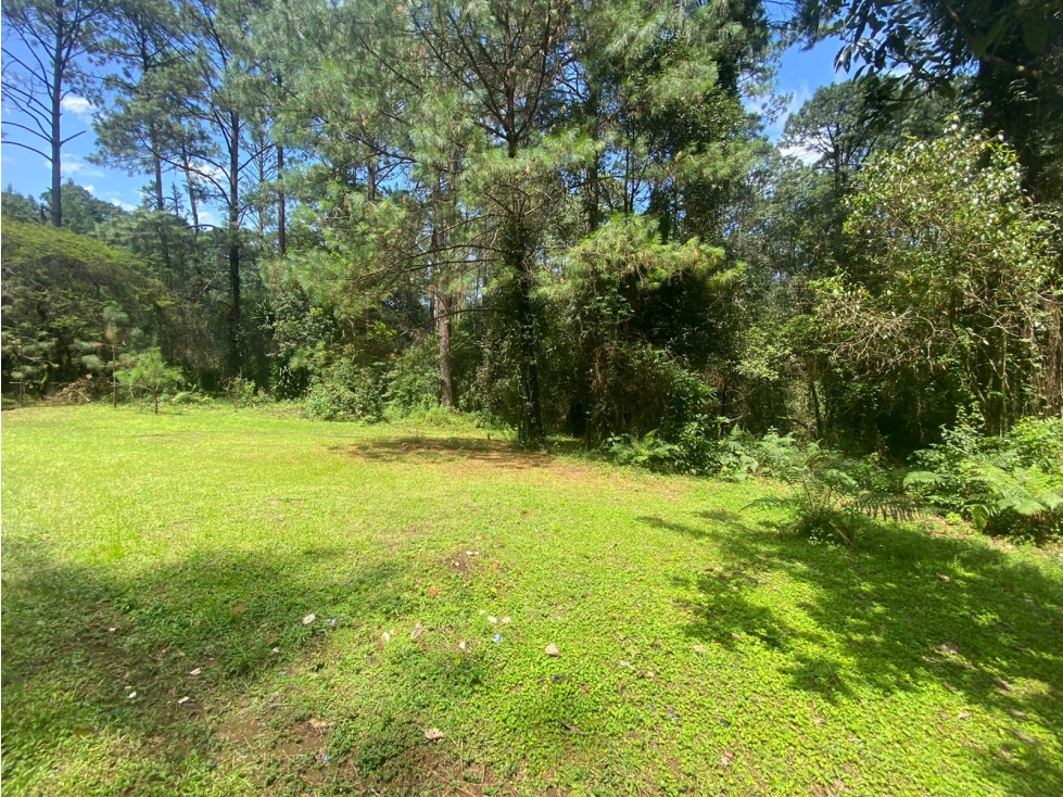 TERRENO EN VENTA CIRCUITO AVANDARO - 1