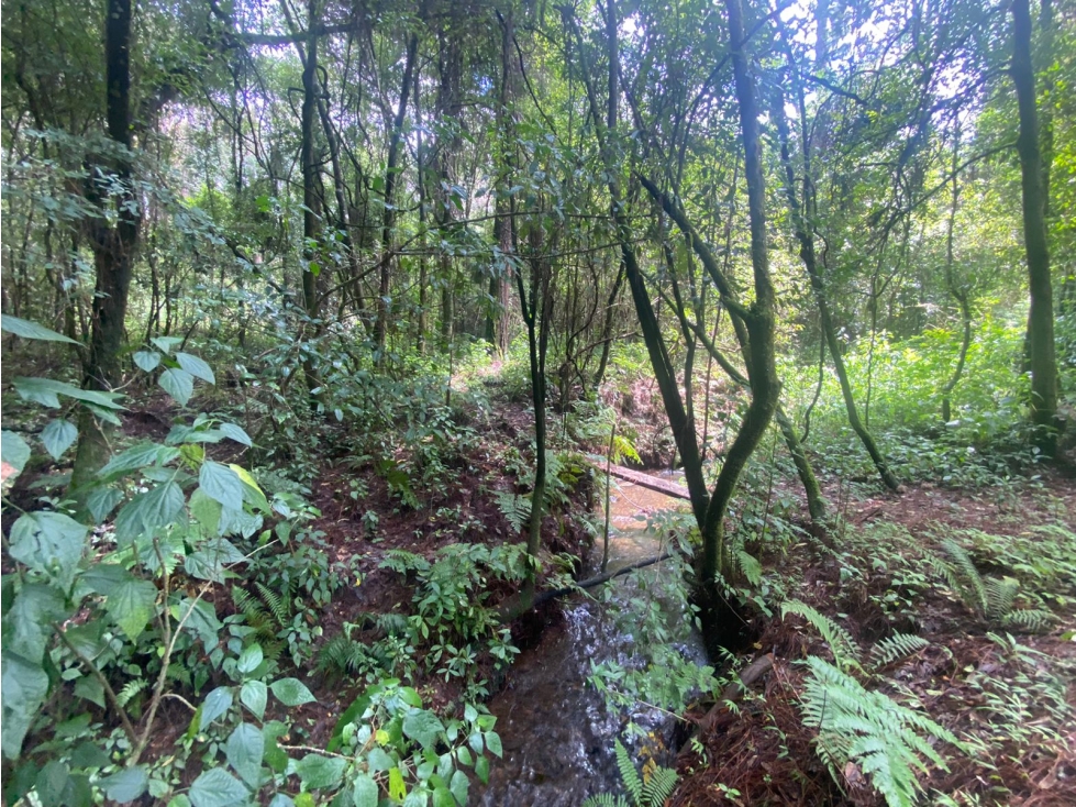 TERRENO EN VENTA CIRCUITO AVANDARO - 6
