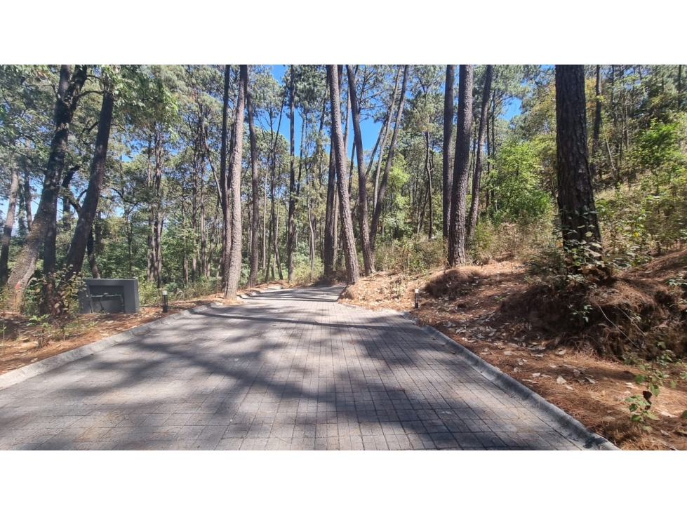 EXCELENTE TERRENO EN VENTA, AVANDARO - 6