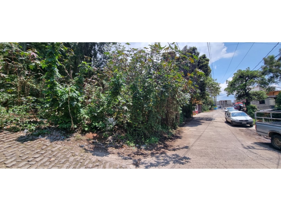 TERRENO EN VENTA, CENTRO DE VALLE. - 2