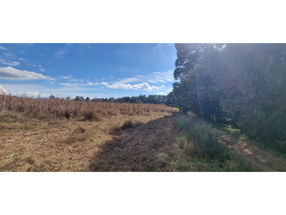 TERRENO EN VENTA, EN EL CASTELLANO - 2
