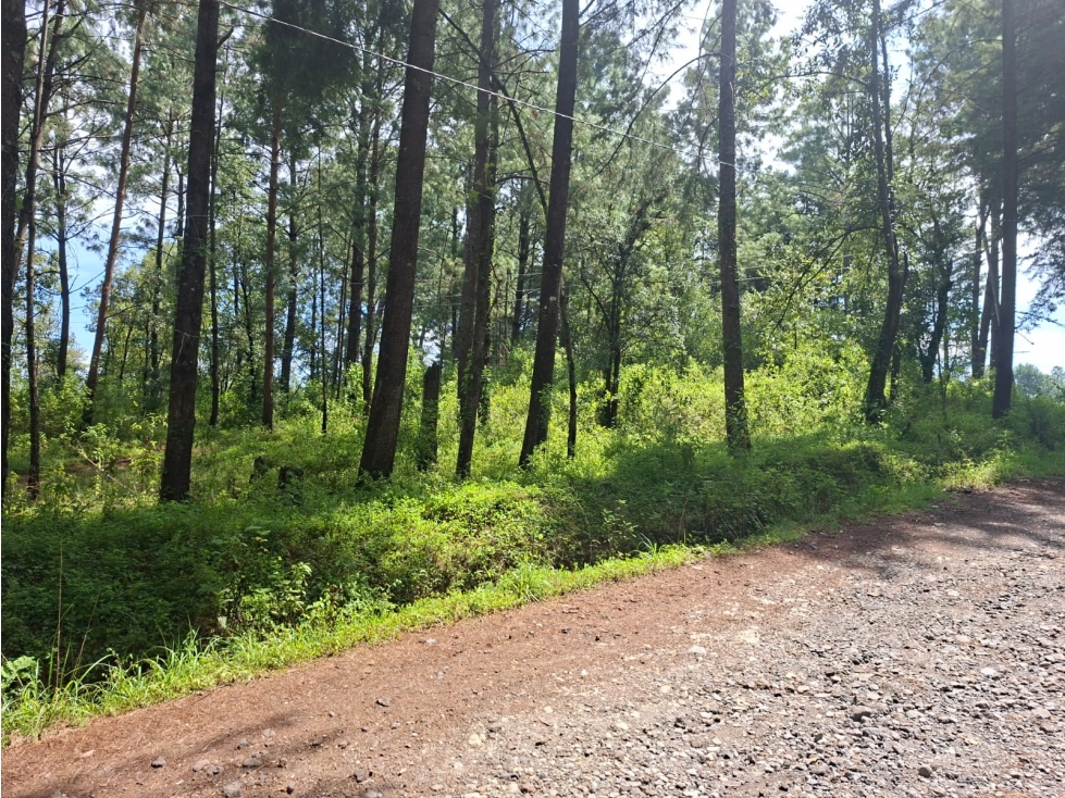 AMPLIO TERRENO POR GO KARTS — foto 3