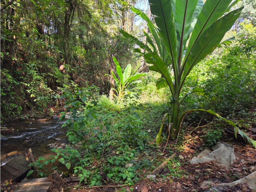 TERRENO CON RIO, EN VENTA. - 5