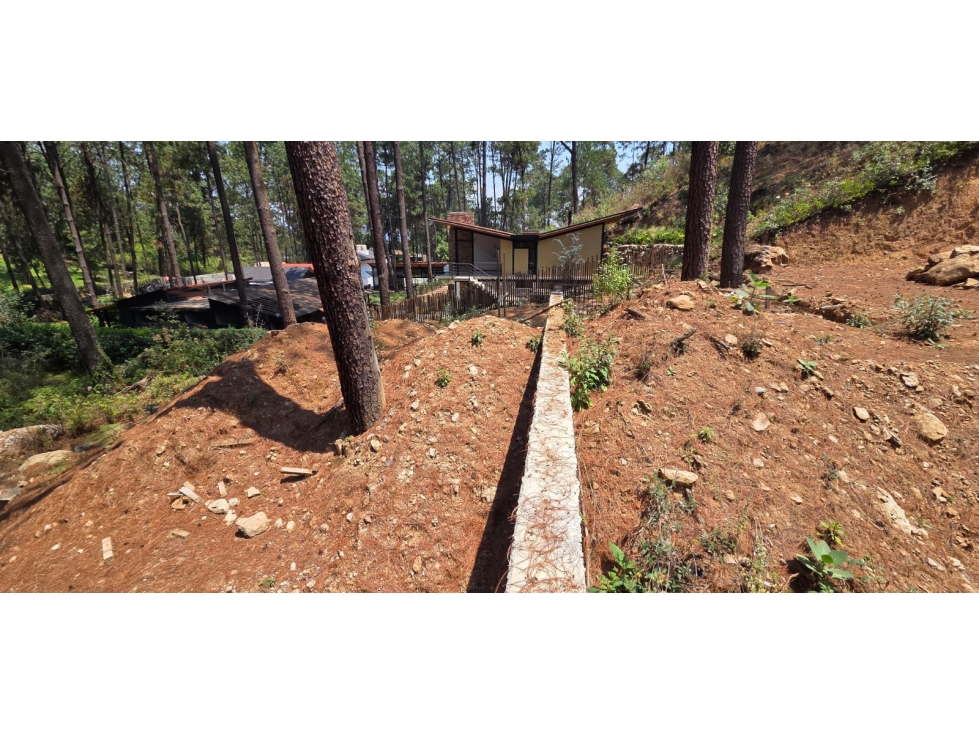 MAGNIFICO TERRENO EN VENTA, CON VISTA AL BOSQUE — foto 5