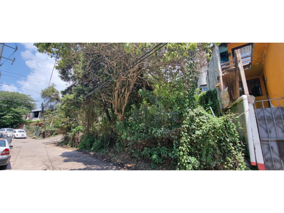 TERRENO EN VENTA, CENTRO DE VALLE. - 3