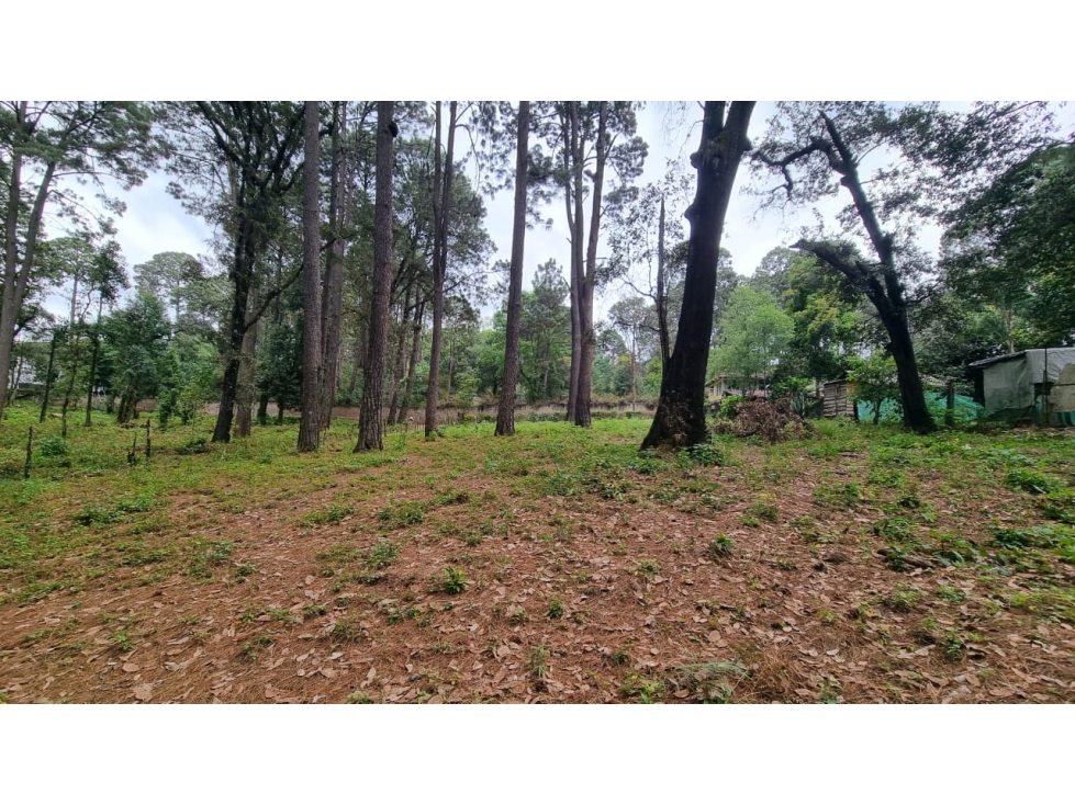 TERRENO CON ENTORNO DE BOSQUE, EN VENTA — foto 2