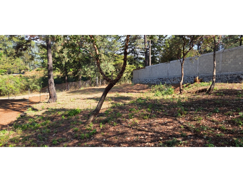GRAN TERRENO EN VENTA EN SAN GABRIEL IXTLA — foto 4