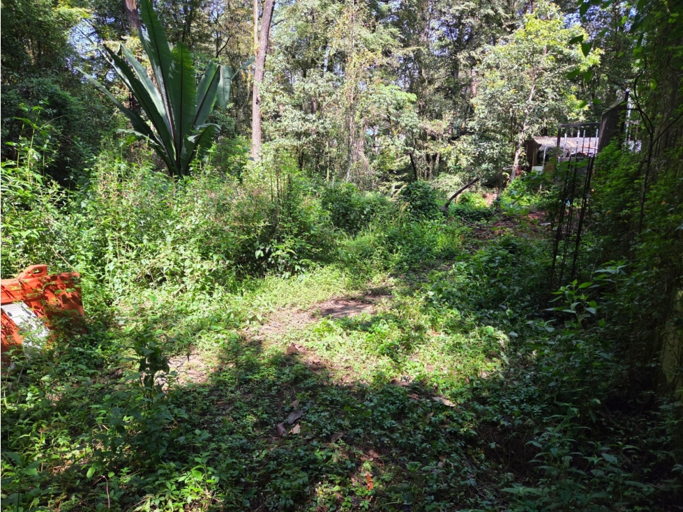 TERRENO CON RIO, EN VENTA. - 6
