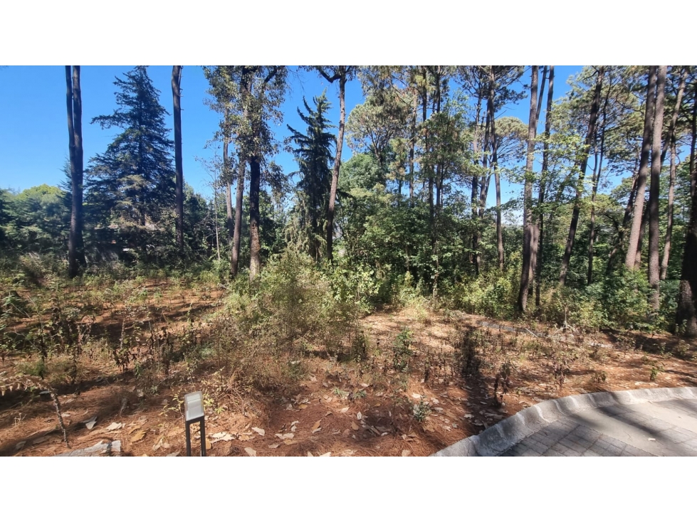 EXCELENTE TERRENO EN VENTA, AVANDARO - 3