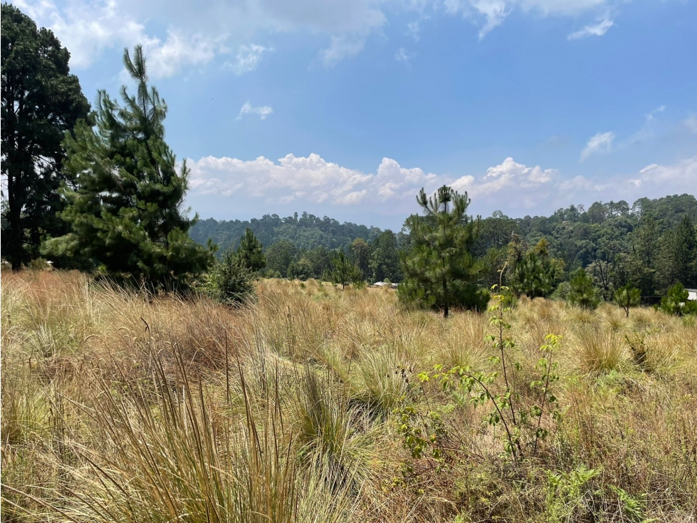 MAGNIFICO TERRENO EN VENTA EN MESA RICA — foto 3