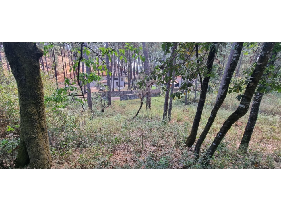 TERRENO CON ENTORNO DE BOSQUE EN VENTA. — foto 5