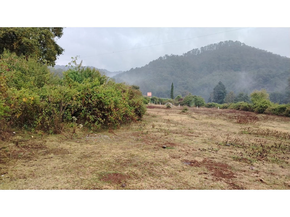 Terreno en Venta para proyecto Habitacional — foto 3