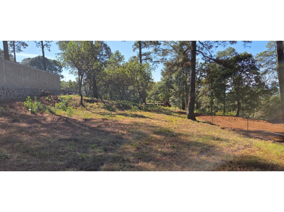 GRAN TERRENO EN VENTA EN SAN GABRIEL IXTLA — foto 5