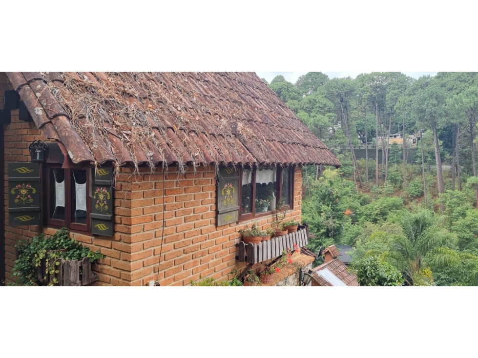CABAÑA EN VENTA EN AVANDARO, OPORTUNIDAD - 4