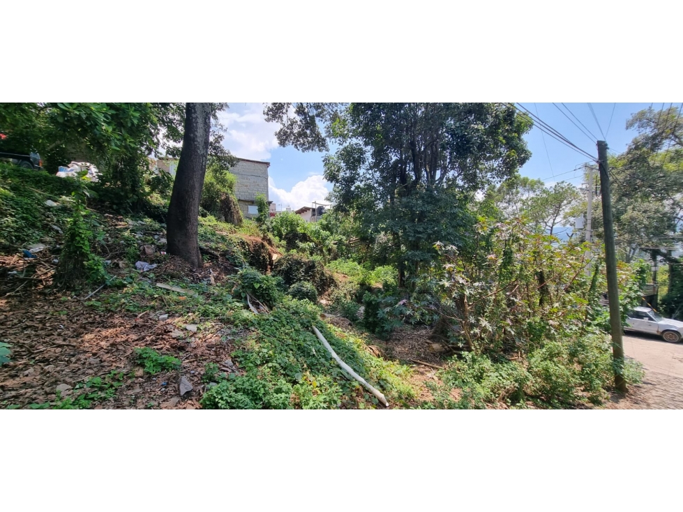 TERRENO EN VENTA, CENTRO DE VALLE. - 5