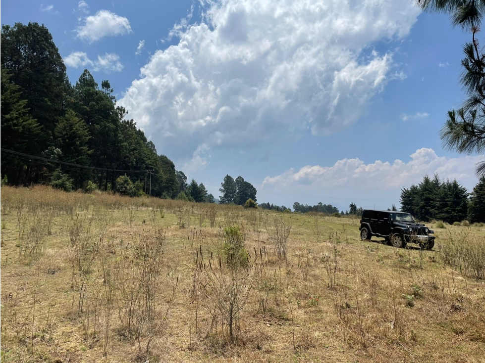 MAGNIFICO TERRENO EN VENTA EN MESA RICA — foto 4