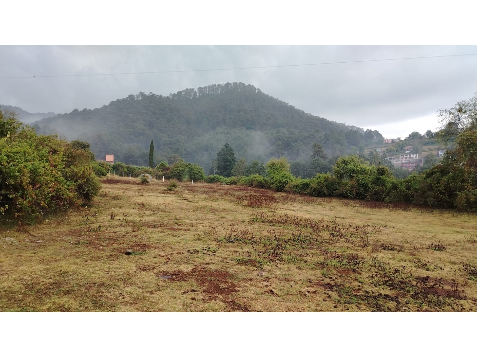Terreno en Venta para proyecto Habitacional