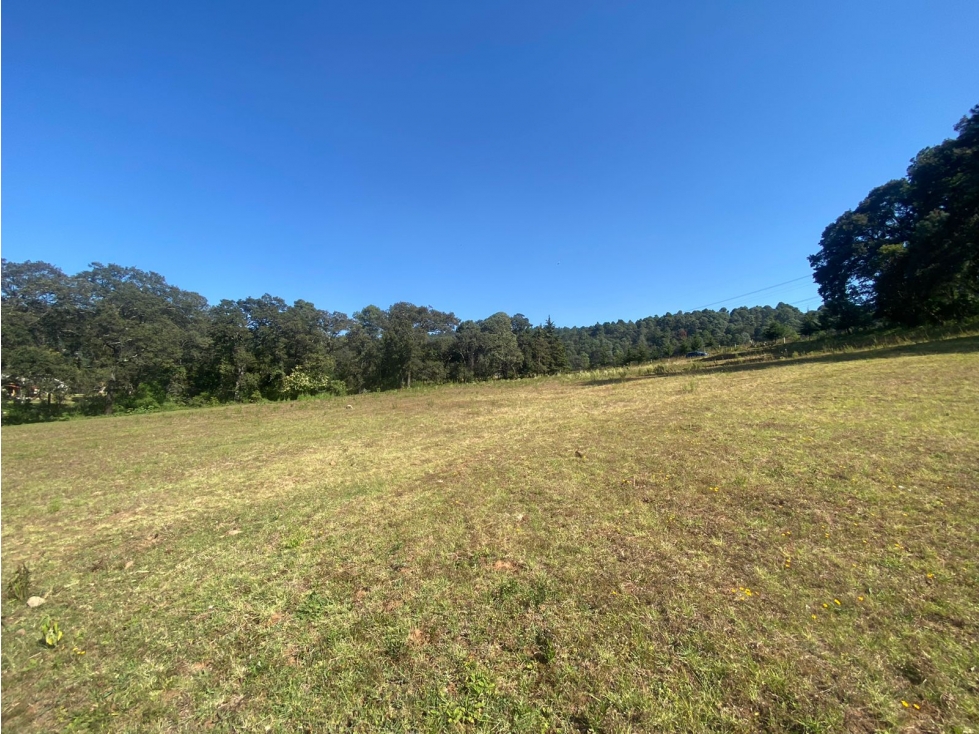 TERRENO EN VENTA CON ENTORNO DE BOSQUE A 25 MINUTOS DE VALLE DE BRAVO — foto 4